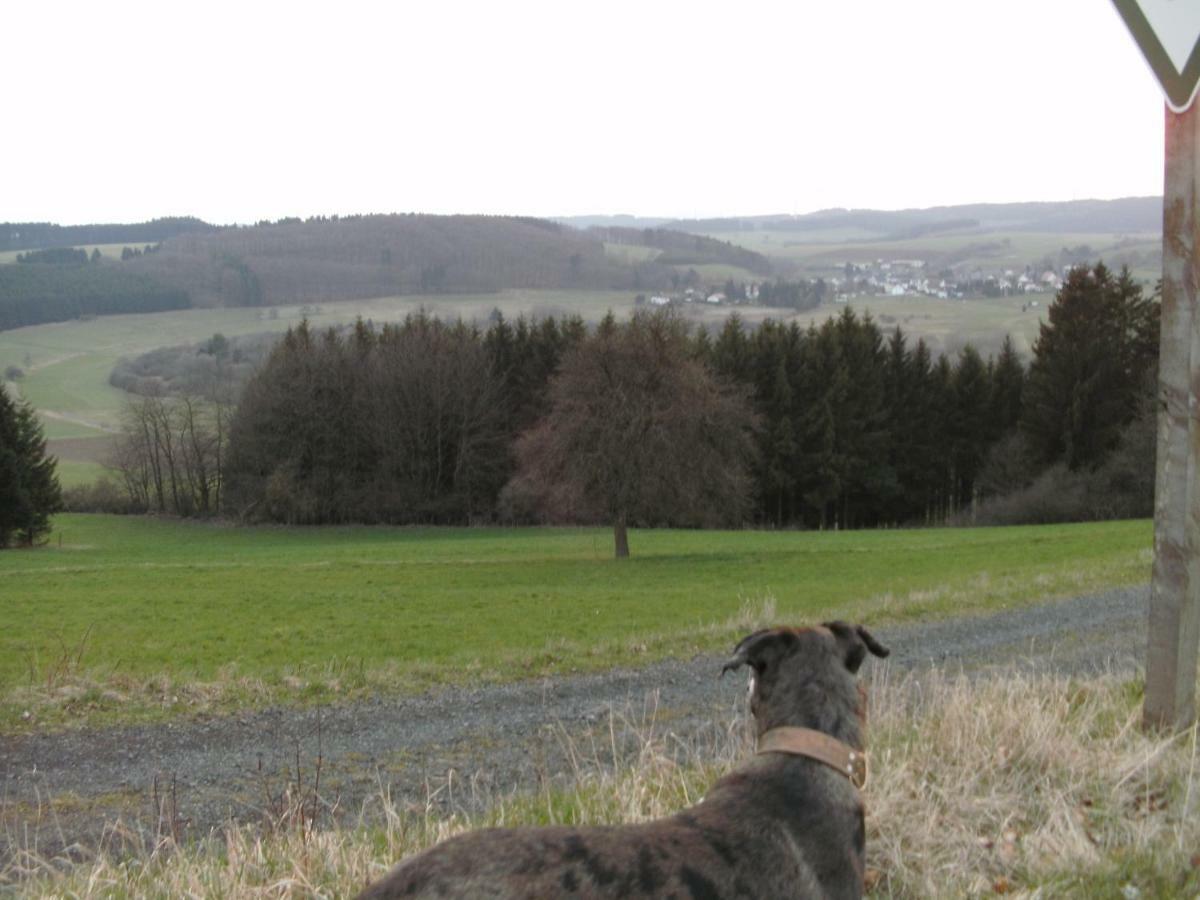 Willa Funny-Farm Sassen Zewnętrze zdjęcie