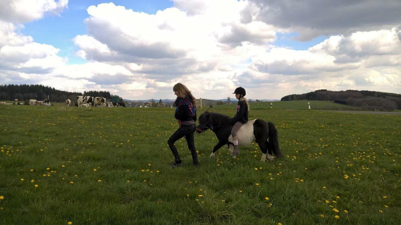 Willa Funny-Farm Sassen Zewnętrze zdjęcie