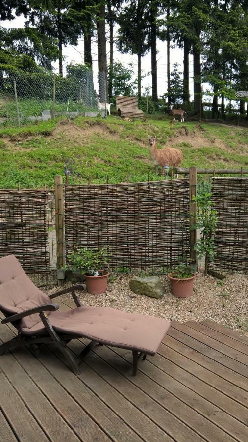 Willa Funny-Farm Sassen Zewnętrze zdjęcie